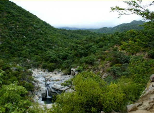  Sierra La Laguna 
